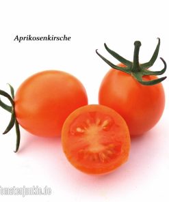 Aprikosenkirsche