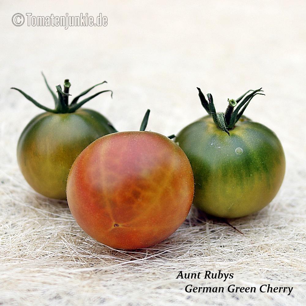 Aunt Ruby’s German Green Cherry – Bild 4