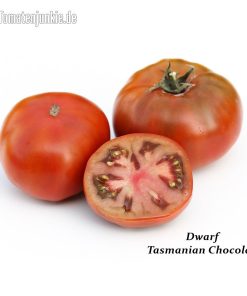 Dwarf Tasmanian Chocolate
