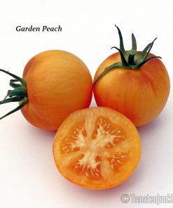 Garden Peach