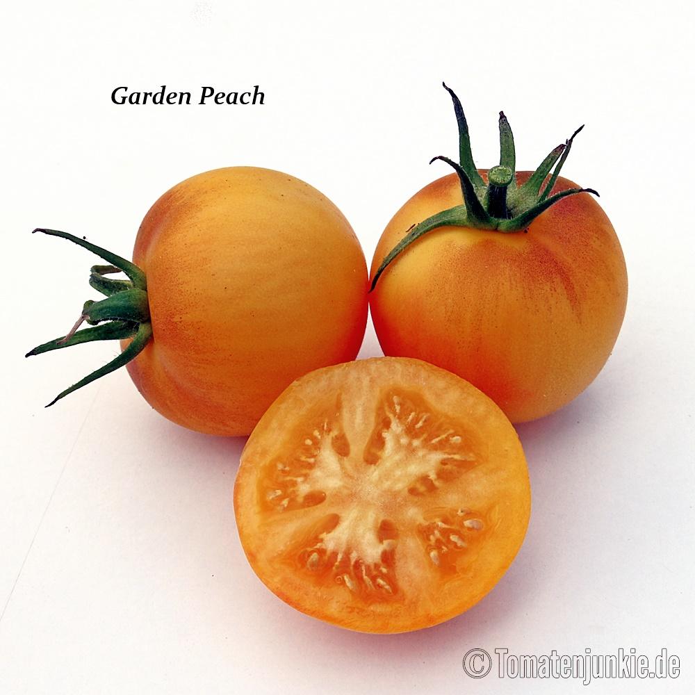 Garden Peach – Bild 2