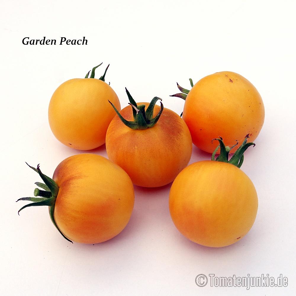 Garden Peach – Bild 3