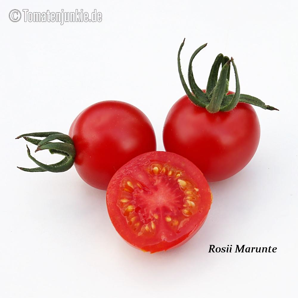 Rosii Marunte – Bild 2