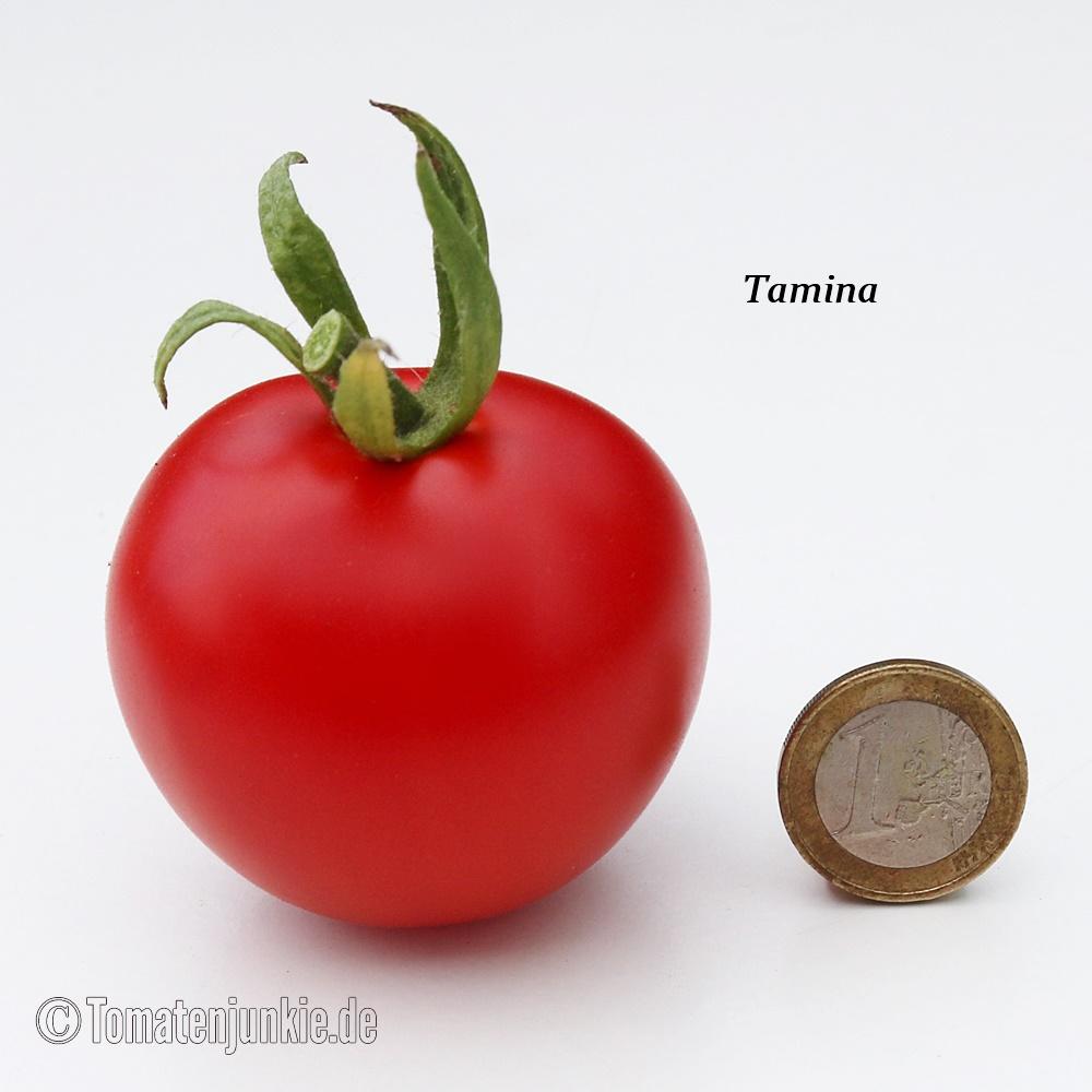 Tamina – Bild 3