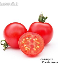 Waltingers Cocktailtomate